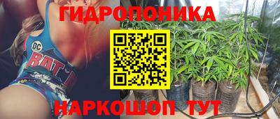 прущие крисы Бузулук