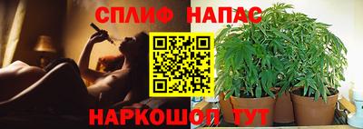 бошки Будённовск