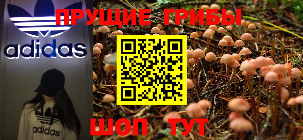 Щёкино  Псилоцибиновые грибы мухоморы  Псилоцибиновые грибы Psilocybe  Вход с VPN 