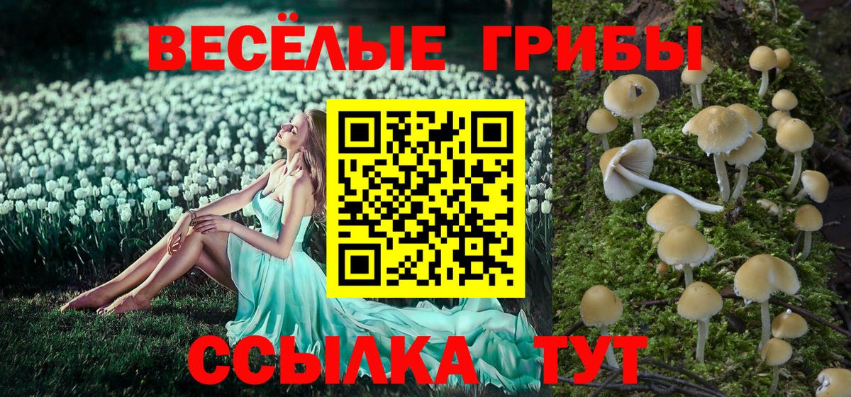 Галлюциногенные грибы мухоморы Щёкино